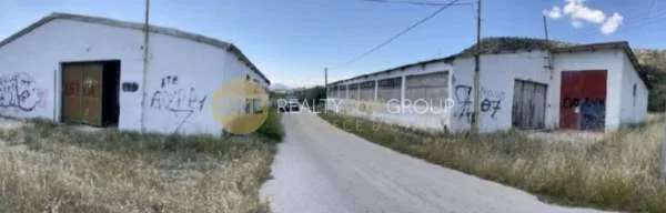 Αυτόνομο κτήριο γραφείων 800τ.μ.  - 5