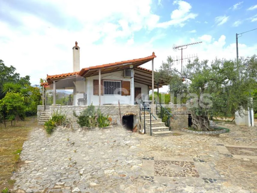 Detached house 51m²  - 2