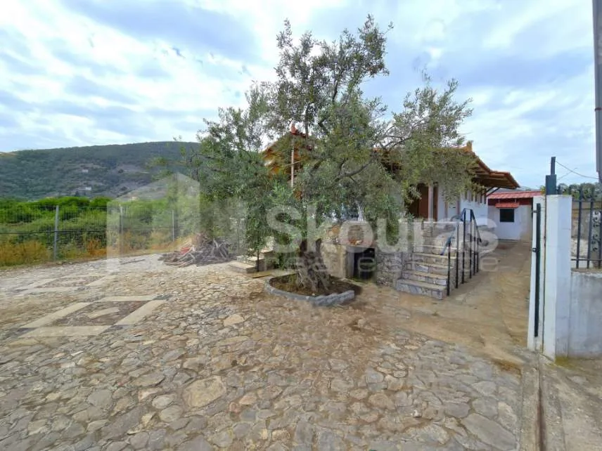 Detached house 51m²  - 3