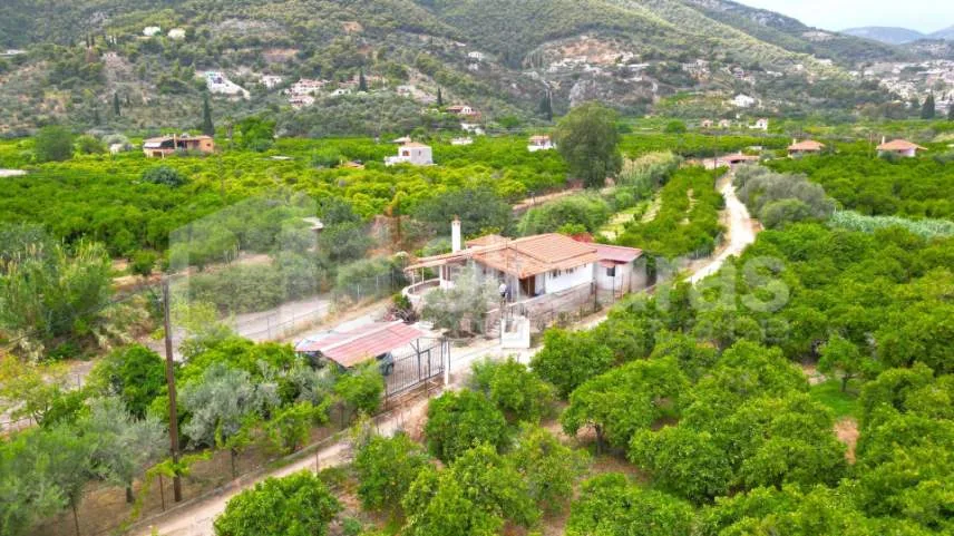 Detached house 51m²  - 5