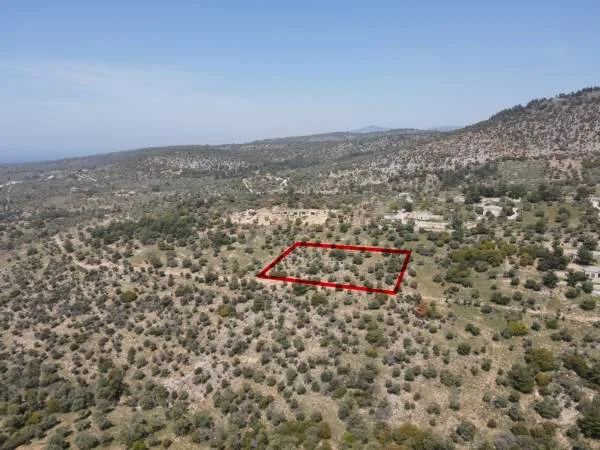 Αγροτεμάχιο 9672τ.μ.  - 3