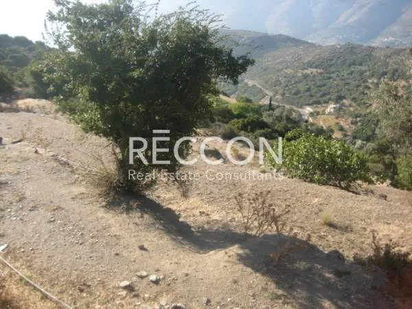 Land Parcel 5400m²  - 2