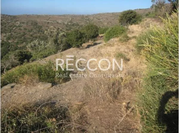 Land Parcel 5400m²  - 4