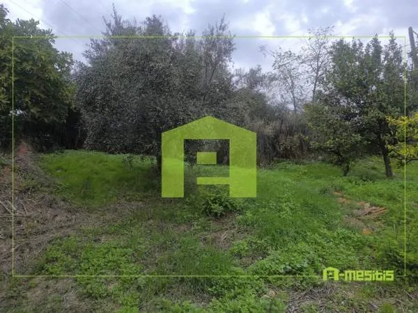Οικόπεδο 300τ.μ.  - 2