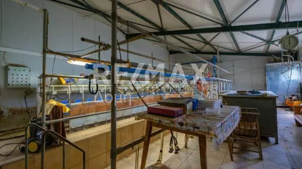 Βιοτεχνικοί / Βιομηχανικοί χώροι 1100τ.μ.  - 5