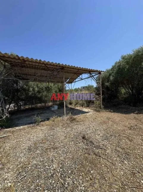 Αγροτεμάχιο 550τ.μ.  - 2