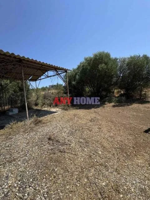 Αγροτεμάχιο 550τ.μ.  - 3