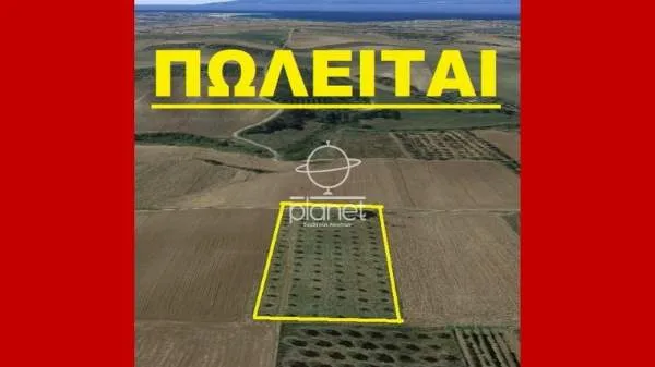 Land Parcel 9950m²  - 5