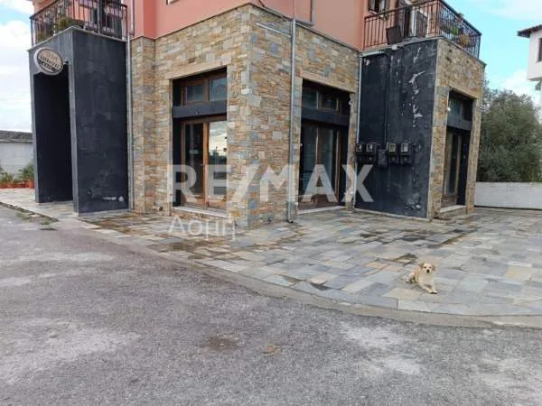 Shop 67m²  - 5