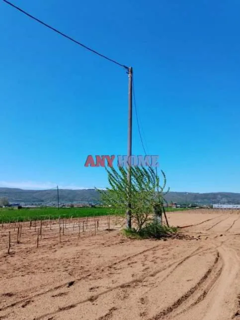 Land Parcel 7525m²  - 4