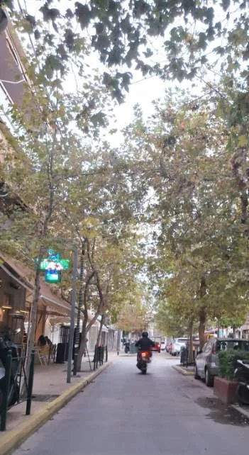 Αίθουσα / Εκθεσιακός χώρος 150τ.μ.  - 3
