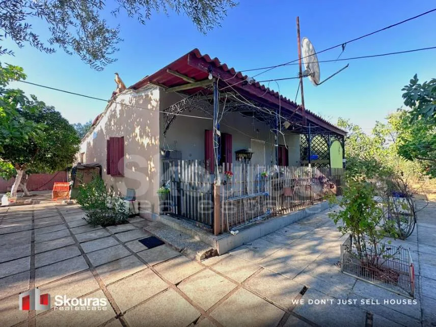 Detached house 81m²  - 5