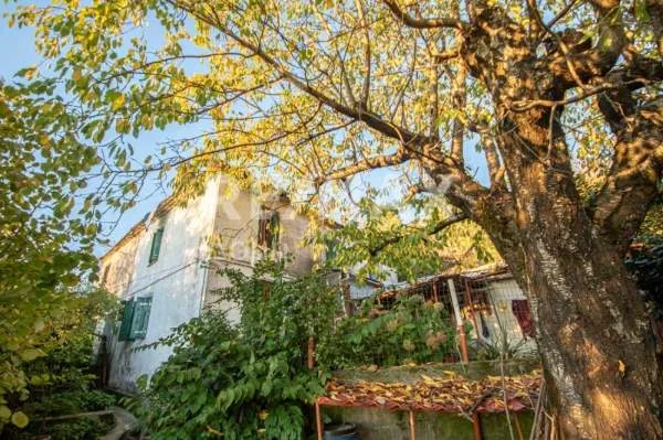 Μονοκατοικία 130τ.μ.  - 4
