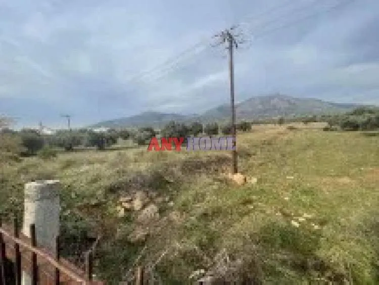 Land Parcel 74557m²  - 2