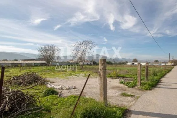 Land Parcel 6529m²  - 3