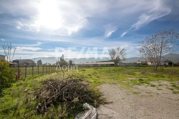 Land Parcel 6529m²  - 4