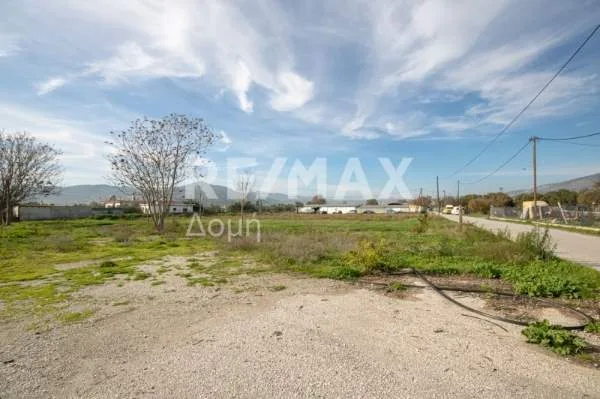 Land Parcel 6529m²  - 5