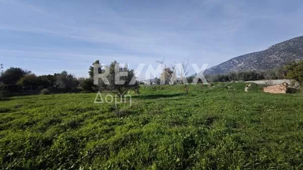 Μονοκατοικία 80τ.μ.  - 5