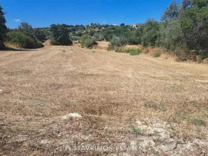 Land Parcel 9313m²  - 2