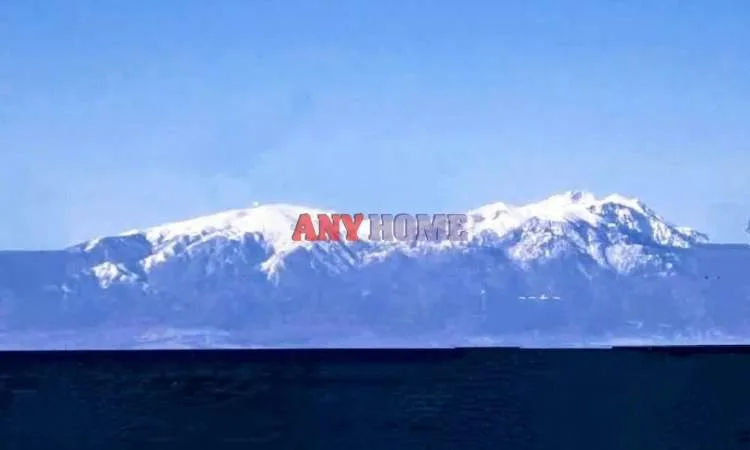 Αγροτεμάχιο 10200τ.μ.  - 4