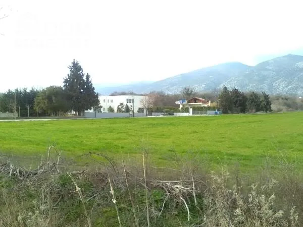 Standalone office building 1461m²  - 3