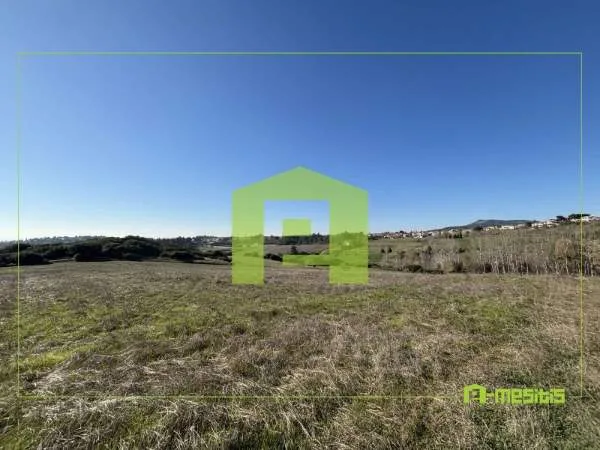 Οικόπεδο 8300τ.μ.  - 5