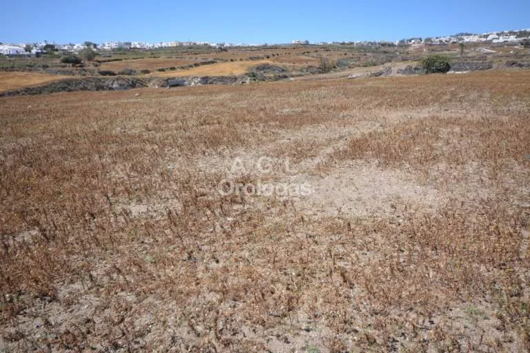 Αγροτεμάχιο 8500τ.μ.  - 2