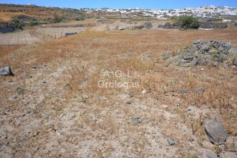Αγροτεμάχιο 8500τ.μ.  - 4