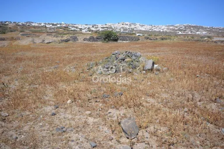 Αγροτεμάχιο 8500τ.μ.  - 5