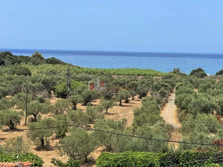 Detached house 335m²  - 4