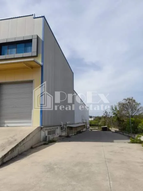 Small Industry / Industrial spaces 2996m²  - 3