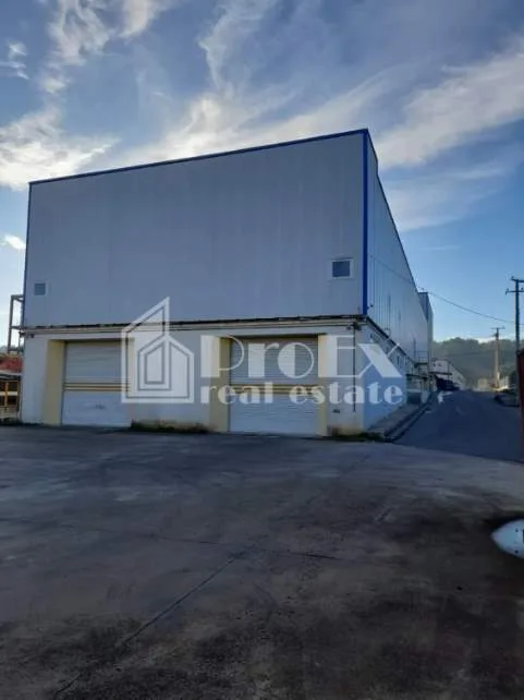 Small Industry / Industrial spaces 2996m²  - 4
