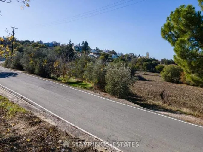 Αγροτεμάχιο 2342τ.μ.  - 4
