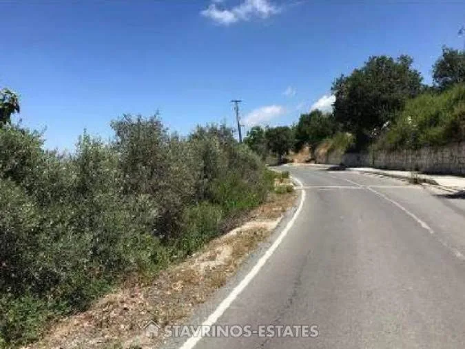 Αγροτεμάχιο 2342τ.μ.  - 5