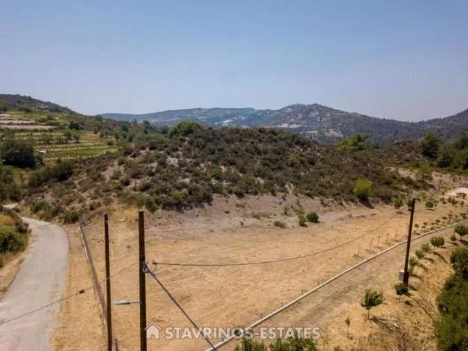Αγροτεμάχιο 6587τ.μ.  - 2