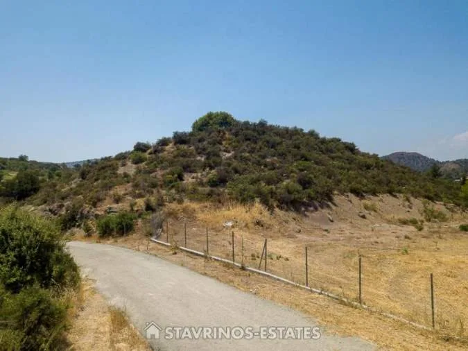 Αγροτεμάχιο 6587τ.μ.  - 3