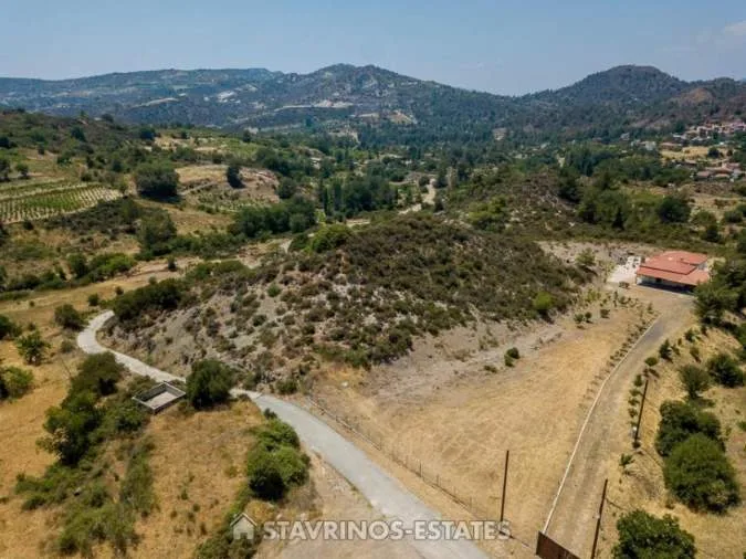 Αγροτεμάχιο 6587τ.μ.  - 4