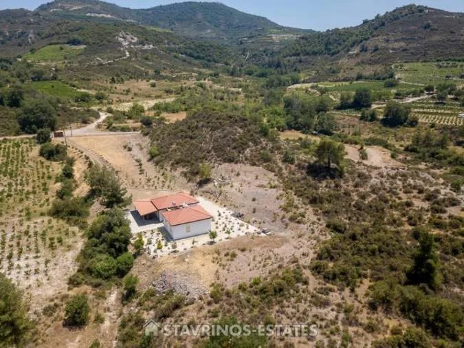 Αγροτεμάχιο 6587τ.μ.  - 5
