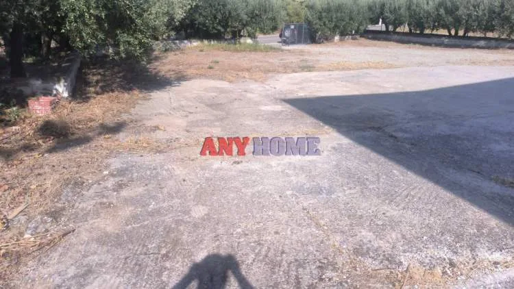 Αποθήκη 800τ.μ.  - 2