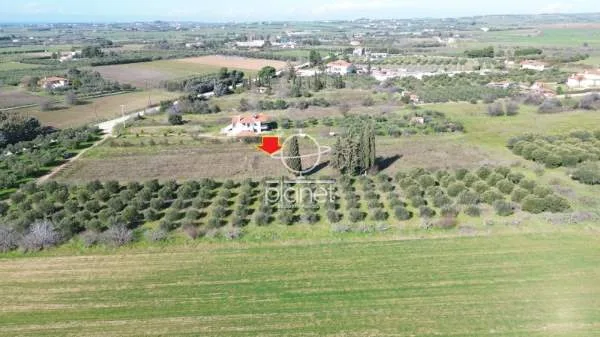 Land Parcel 5830m²  - 4