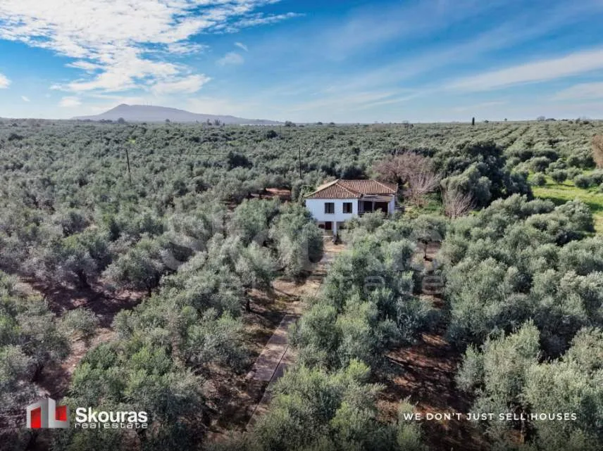 Μονοκατοικία 185τ.μ.  - 5