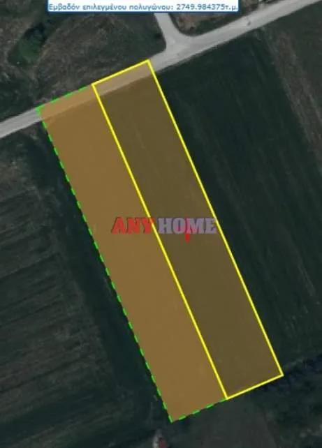 Αγροτεμάχιο 5500τ.μ.  - 2