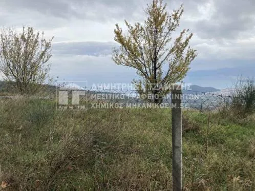 Αγροτεμάχιο 552τ.μ.  - 2