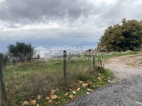 Αγροτεμάχιο 552τ.μ.  - 3