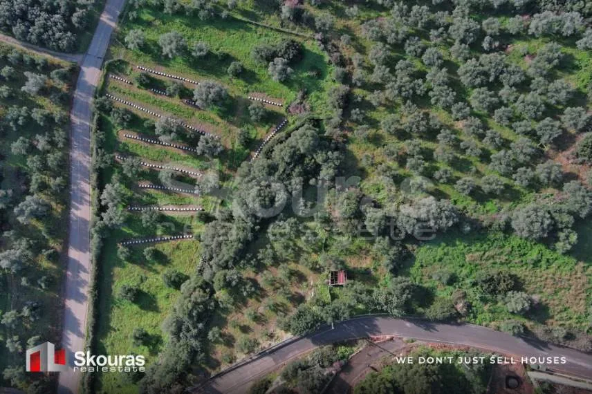 Plot 721m²  - 3