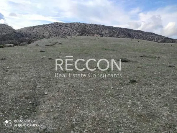 Land Parcel 52162m²  - 5