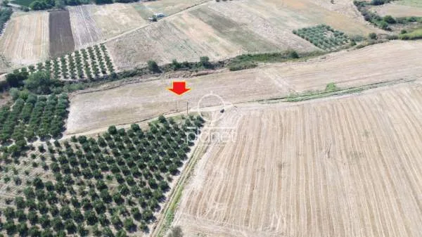 Land Parcel 9100m²  - 5