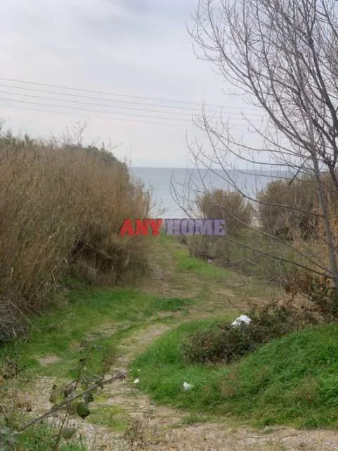 Αγροτεμάχιο 1000τ.μ.  - 2