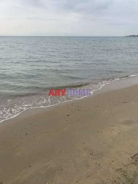 Αγροτεμάχιο 1000τ.μ.  - 3