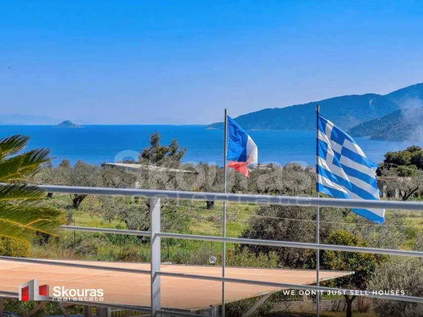 Detached house 360m²  - 3